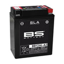 Yamaha XT 600 2KF [BS Battery] - motorcycle battery-1