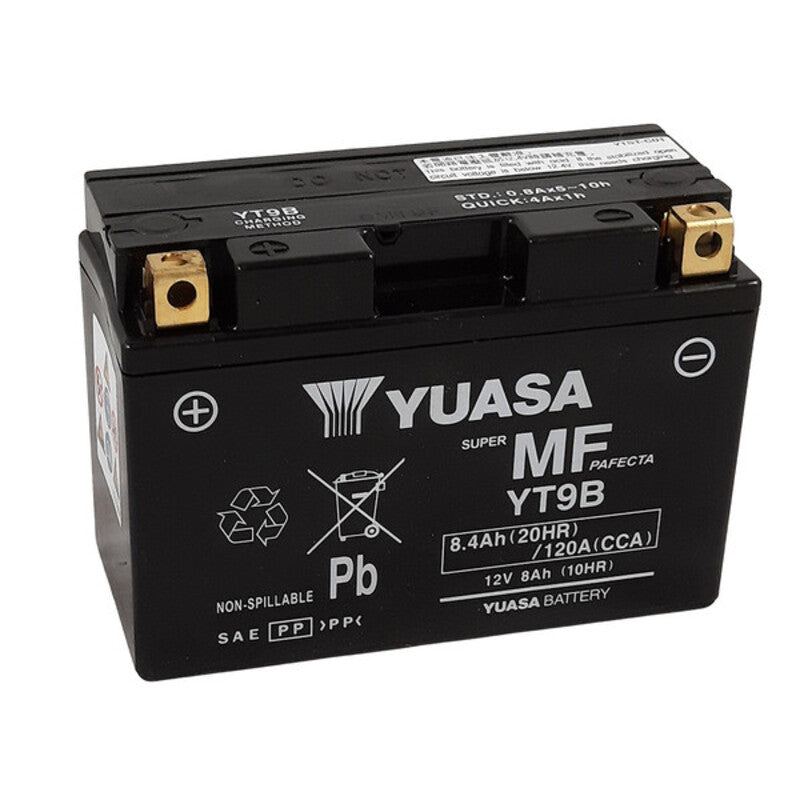 Yamaha XT 660 X [Yuasa] - motorcycle battery