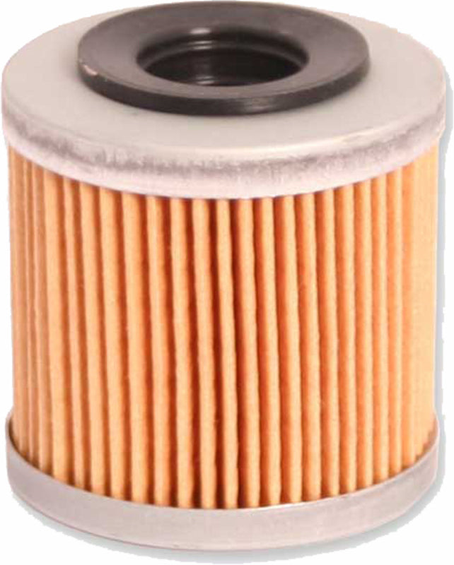 Yamaha YFM 350 Warrior [RFX] - motorcycle oil filter
