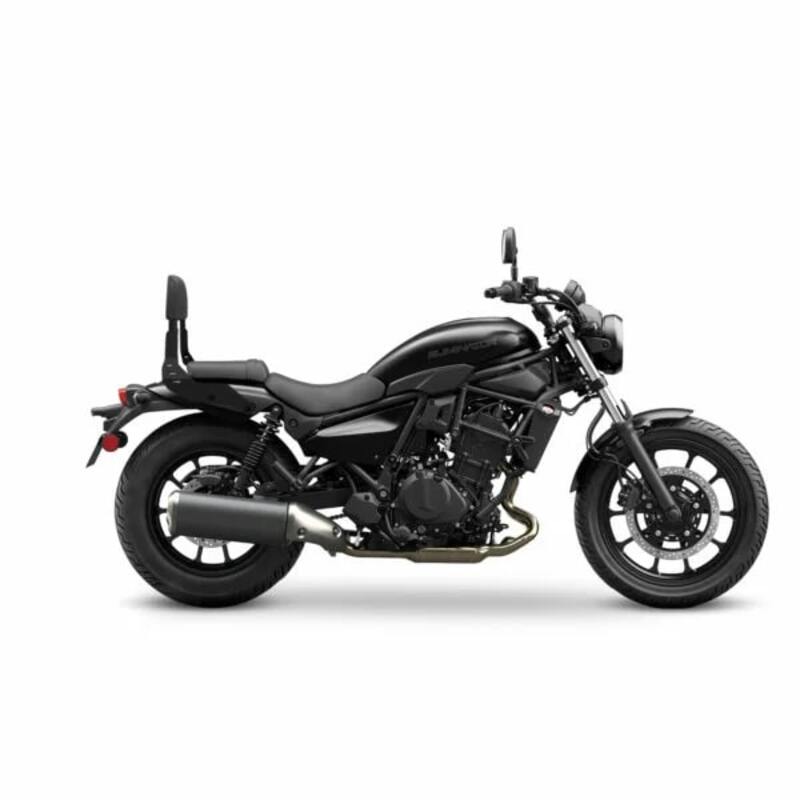 Eliminator 500 [SHAD] - Sissy bar