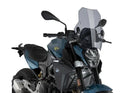 BMW F 900 R [2025] – Z-Racing screen – carbon look-2