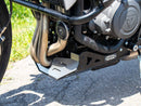 Triumph Trident 660 [2021-2024] - Bugpoiler-3