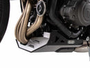 Triumph Trident 660 [2021-2024] - Bugpoiler-2