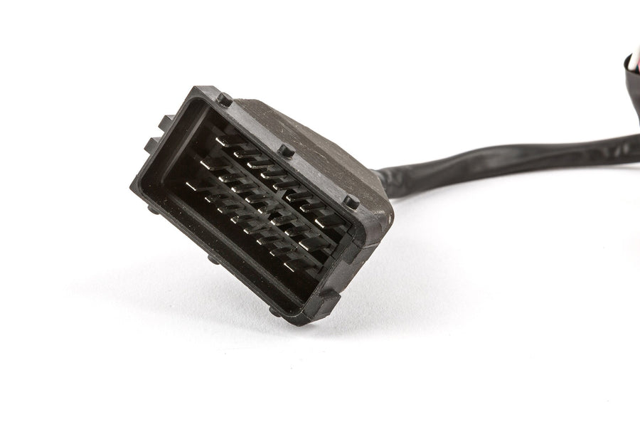 Fantic XM 50 2T - Offene CDI TPR