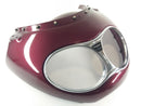 Triumph Trophy 1200 T300E [1996] - Fairing canopy-2