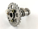 Aprilia RSV 1000 RR Factory [2009] - Camshaft exhaust camshaft cylinder front-4