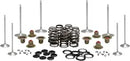 Harley-Davidson FLRT 1868 Freewheeler 114 [2021, 2023-2024] - Titanium valve spring retainer kit - picture 5