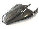 Ducati 999 [749] - Rear Fairing Carbon-2