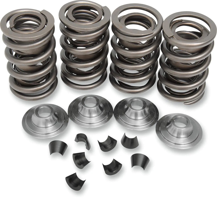 harley davidson flfb [KIBBLEWHITE] – valve spring kit