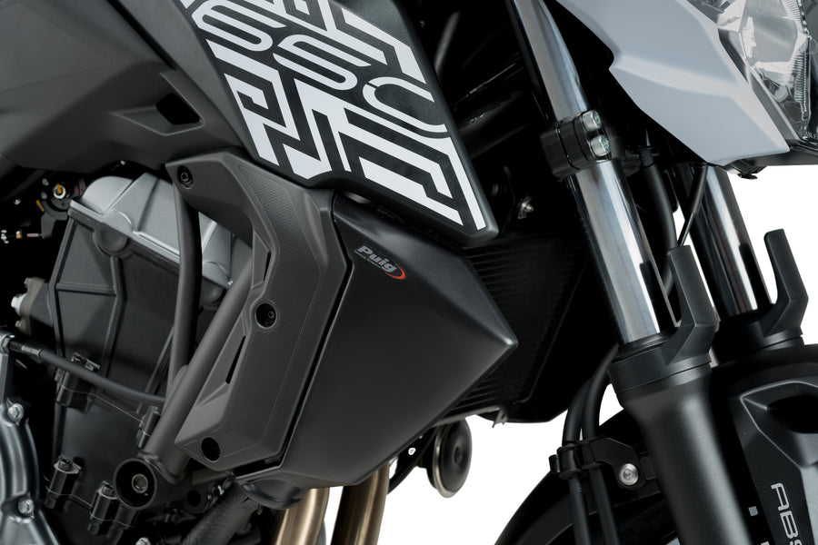KAWASAKI Z 650 [2019] – radiator cap – carbon look