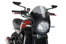 KAWASAKI Z 900 RS SE [2025] – Retro windshield – heavily tinted-3