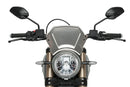 DUCATI SCRAMBLER 1100 DARK PRO [2025] – ALU Frontplatte – Silber