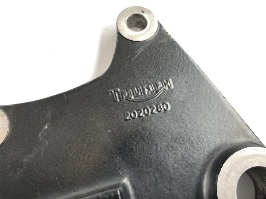 Triumph Sprint 955i RS T695 [2001] - Brake anchor plate