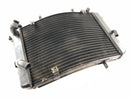 Triumph Street Triple R 675 D67LD [2008] - Radiator Water Cooler-4