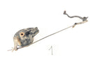 Honda XL 600 RM PD04 [1988] - Brake drum and brake pedal-1