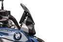 BMW R 1300 R [ab 2025] - Carbonfaser-Windschild