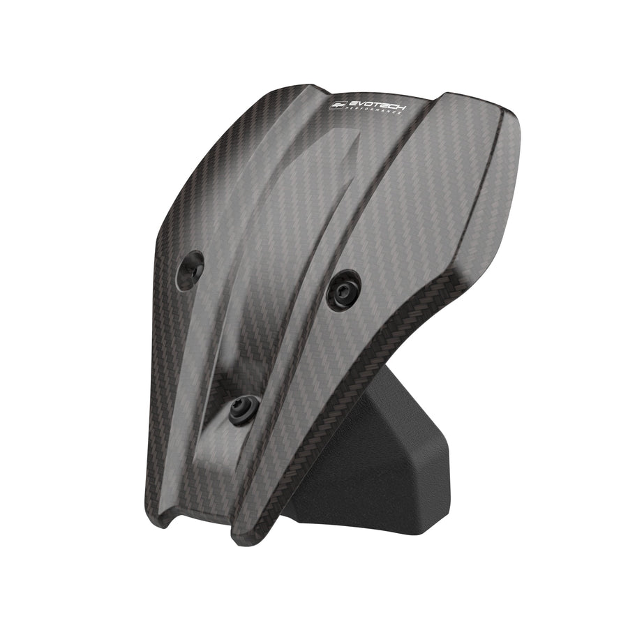 BMW R 1300 R [ab 2025] - Carbonfaser-Windschild