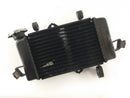 Yamaha YZF 125 RE06 [2011] - Radiator Water Cooler-1