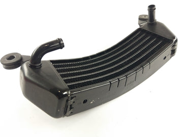 BMW K 1200 R [2010] - Oil cooler radiator - 0