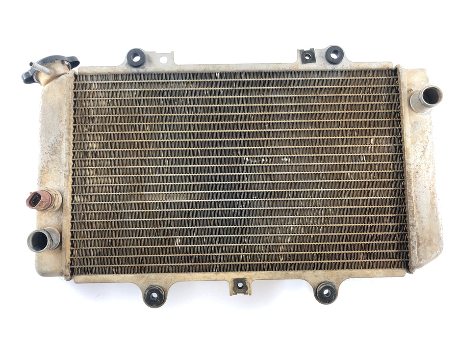 Yamaha Grizzly 660 AM03W [2003] - Radiator Water Cooler