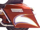 Harley Davidson Touring [1993-1996]-tail fenders cover and-1
