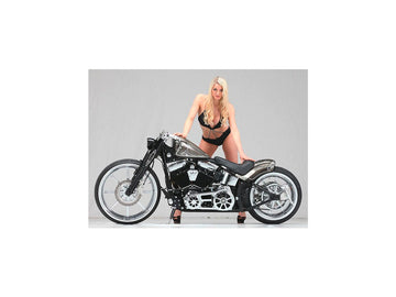 Harley Davidson Sportster [2014-2020]-Velocity 2-part brake disc Chrome ... - 0