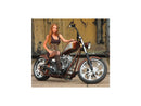 Harley Davidson Touring [2008-2024]-Eliminator-7 brake disc behind-9