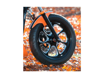 Harley Davidson Dyna [2000-2005]-Eliminator 7 Belt disc black 1 1/8 "70 teeth - 0