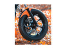 Harley Davidson Dyna [2000-2005]-Eliminator 7 Belt disc black 1 1/8 "70 teeth-7