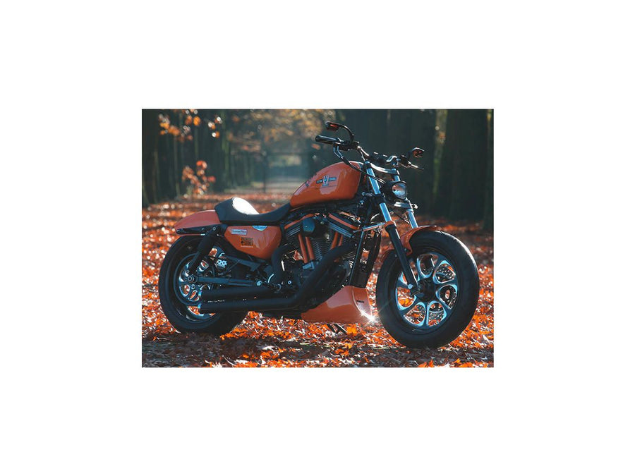 Harley Davidson Dyna [2000-2005]-Eliminator 7 Belt disc black 1 1/8 "70 teeth