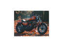 Harley Davidson Dyna [2000-2005]-Eliminator 7 Belt disc black 1 1/8 "70 teeth-8