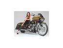 Harley Davidson Sportster [2014-2020]-T-5 2-part brake disc chrome 11.8 "-4