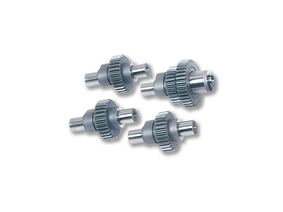 Harley Davidson Sportster [2004-2020]-N3 camshaft set eV