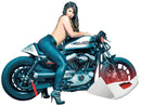 Harley Davidson Sportster [2004-2020]-Heck for Sporter Cafe Racer models-6
