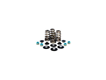 Harley Davidson Sportster [2004-2020]-high-performance bee basket valve spring set