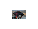 Harley Davidson Flhtcui [2005-2006]-high-performance replacement wind windshield Height: 4 "-1