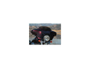 Harley Davidson Flhtcui [2005-2006]-high-performance replacement wind windshield Height: 4 "-4