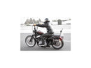 Harley Davidson Sportster [2004-2020]-High Sissy Bar with upholstered black-8
