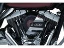 Harley Davidson Softail [2016-2017]-Street Sleeper III air filter black satin-5