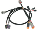Harley Davidson Flhtcui Note [2000-2000]-OEM replacement Complete ignition cable tree-3