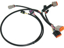 Harley Davidson Touring [2000-2001]-OEM substitute Complete ignition cable tree-3
