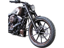 Harley Davidson FXSBSE [2013-2014]-Racing frame cover for Softail models-2