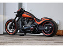 Harley Davidson FXDRS 114 area of ​​application [2019-2020]-side assembly-6