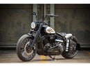 Harley Davidson FLSL [2018-2021]-Steel front wheel protection sheet for Softail models-13