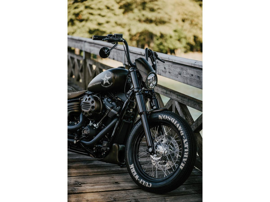 Harley Davidson Softail [2018-2025]-Bobber chin cladding