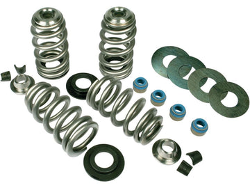 Harley Davidson Sportster [2004-2020]-Endurance beehive valve spring kit