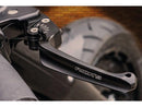 Harley Davidson Sportster [2004-2013]- Classic adjustable braking and-11