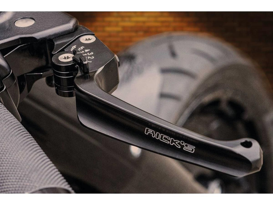 Harley Davidson V-Rod [2002-2005]-Classic adjustable braking and