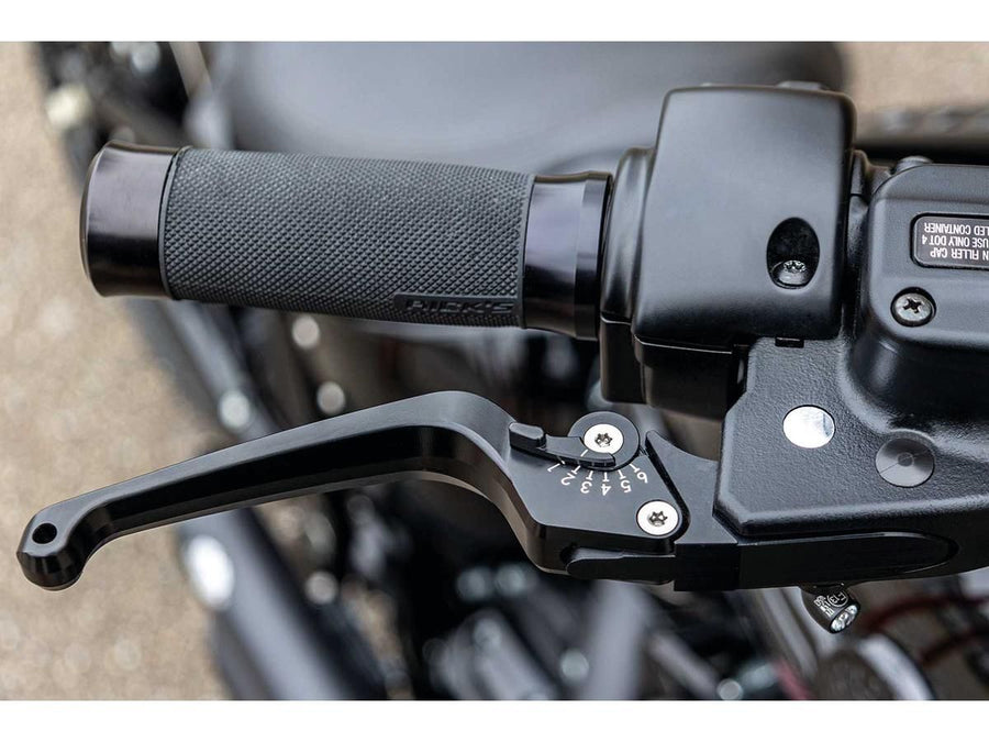 Harley Davidson Softail [2015-2017]- Classic adjustable braking and