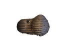 Harley Davidson Sportser Note [2004-2020]-Ribsters primary lid-1
